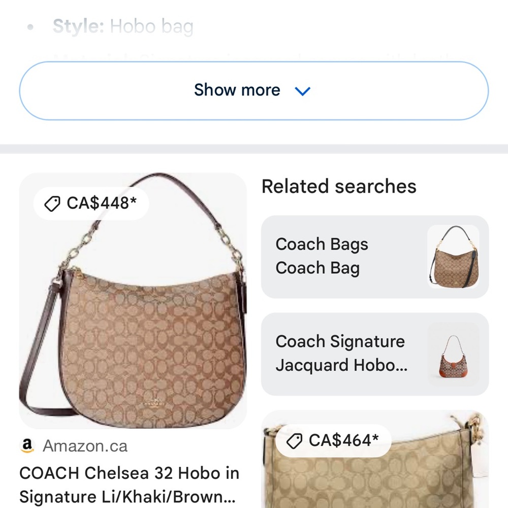 Coach Chelsea Hobo Bag - Brown